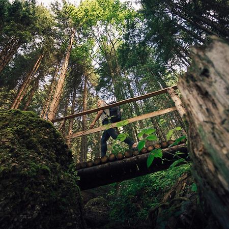 فندق Torghele'S Wald & Fluh بالديرشفانغ المظهر الخارجي الصورة