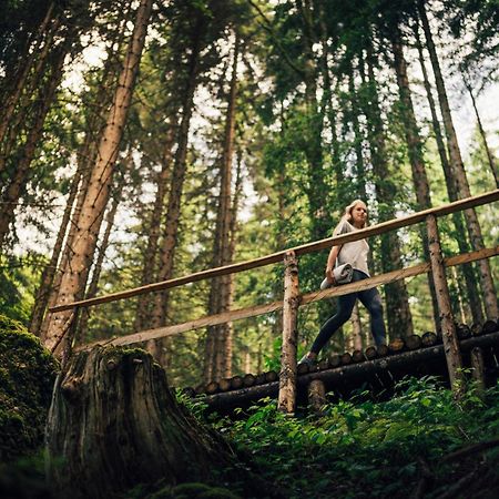 فندق Torghele'S Wald & Fluh بالديرشفانغ المظهر الخارجي الصورة