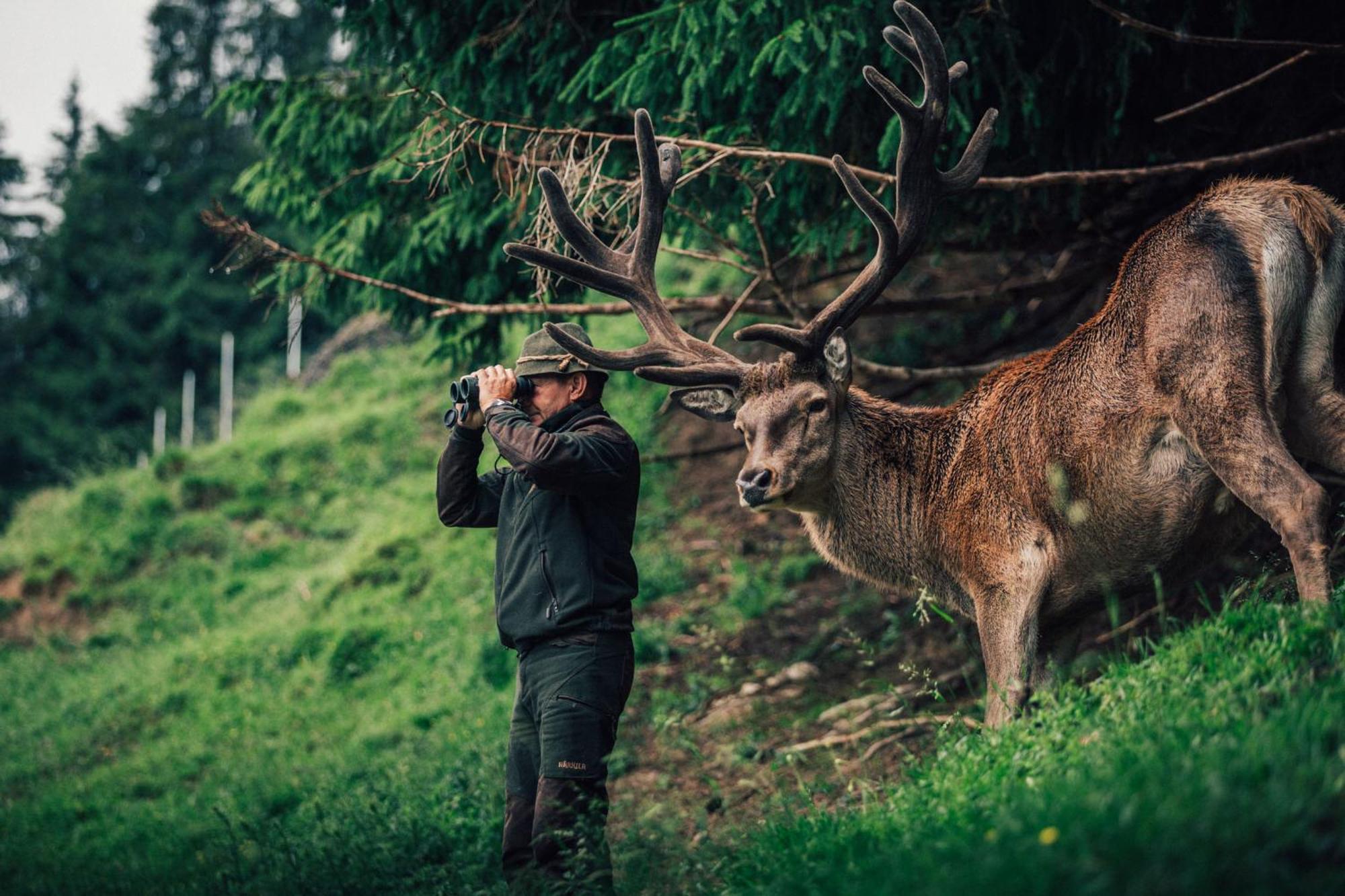 فندق Torghele'S Wald & Fluh بالديرشفانغ المظهر الخارجي الصورة